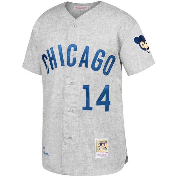 Men's Chicago Cubs Ernie Banks Mitchell & Ness Gray Away 1969 Authentic Jersey