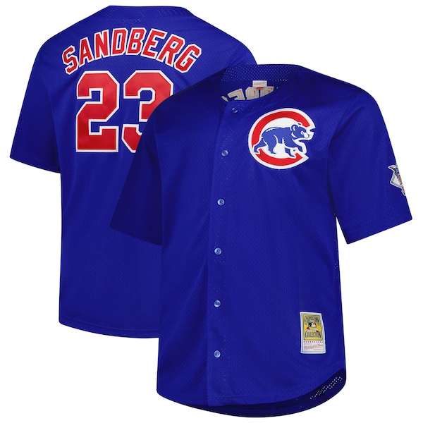 Men's Chicago Cubs Ryne Sandberg Profile Royal Big & Tall Cooperstown Collection Baseball Jersey